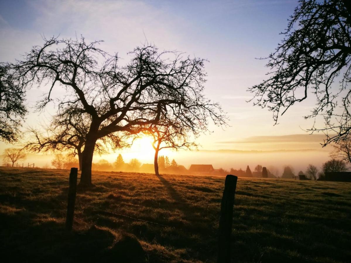 Gemuetliches Fachwerk Im Oberbergischen Daire Wiehl Dış mekan fotoğraf